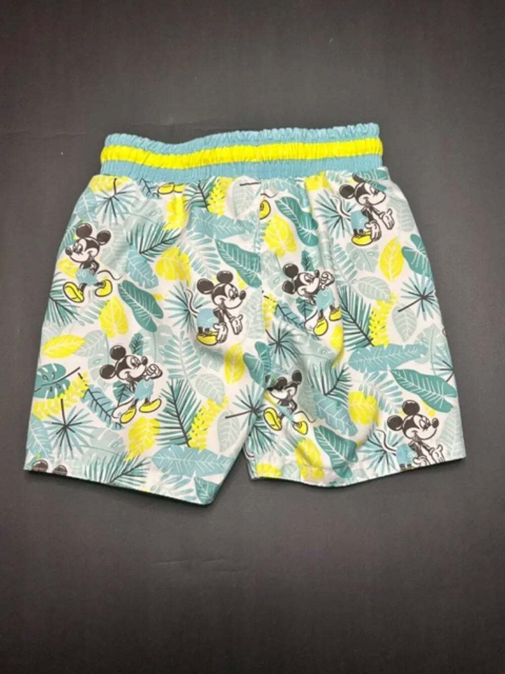 Disney Junior Mickey Mouse Boy's Swim Suit 3T